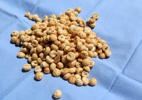 NoccioliniChivasso4-800