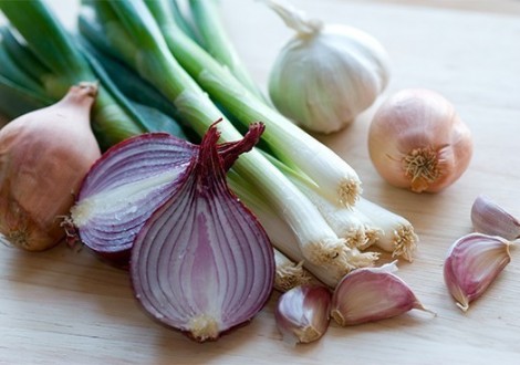 aglio_cipolla_porro