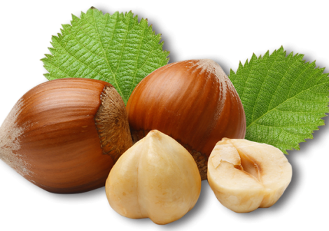 nocciole