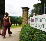 CANTINEAPERTE