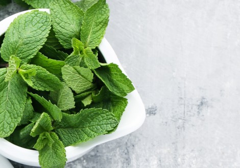 mentapiperitapancalieri